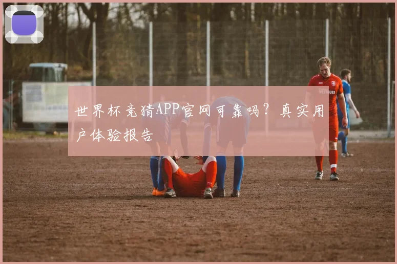 世界杯竞猜APP官网可靠吗？真实用户体验报告