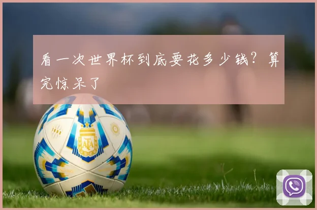看一次世界杯到底要花多少钱？算完惊呆了