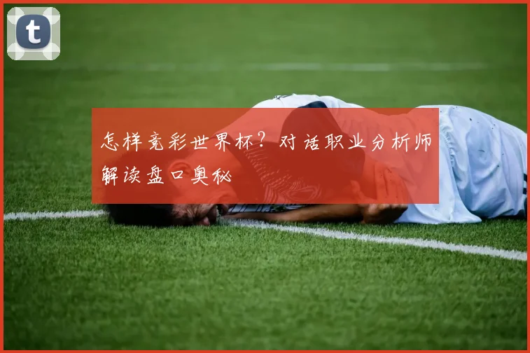 怎样竞彩世界杯？对话职业分析师解读盘口奥秘