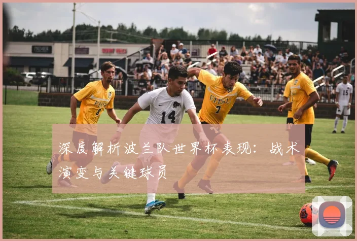 深度解析波兰队世界杯表现：战术演变与关键球员
