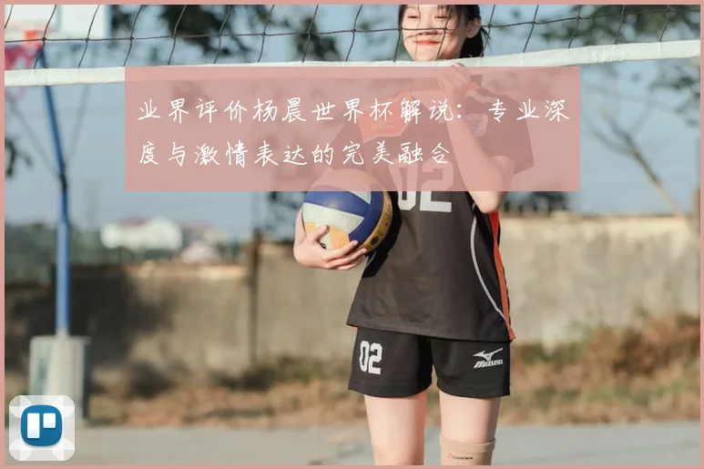 业界评价杨晨世界杯解说：专业深度与激情表达的完美融合