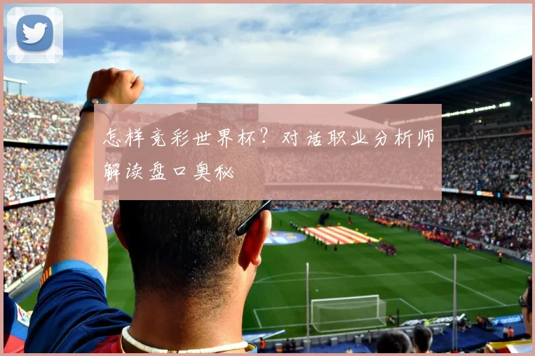 怎样竞彩世界杯？对话职业分析师解读盘口奥秘