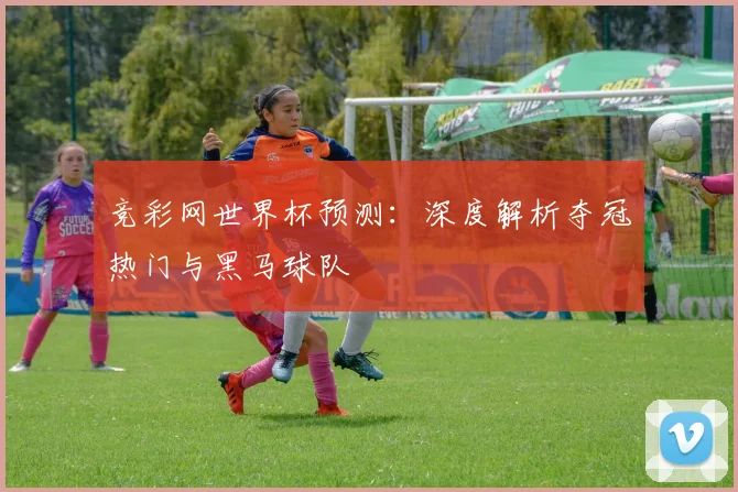 竞彩网世界杯预测:深度解析夺冠热门与黑马球队