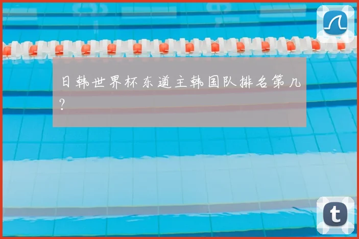 日韩世界杯东道主韩国队排名第几？