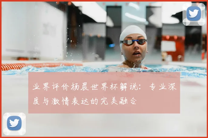 业界评价杨晨世界杯解说：专业深度与激情表达的完美融合