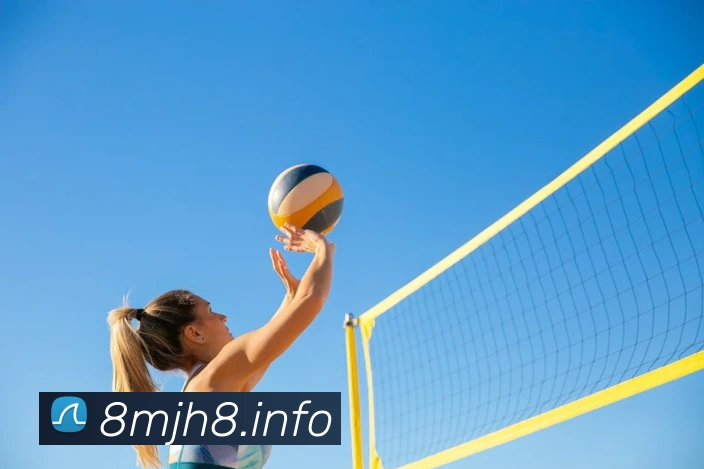 App Interface Preview