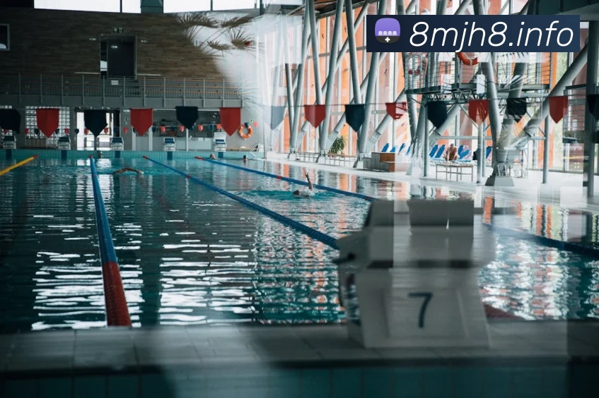 九游j9官方网站APP 封面图